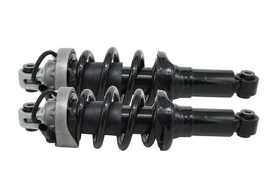 420412019AG 420412020AG Przedni amortyzator sprężyny śrubowej do Audi R8 2007-2015